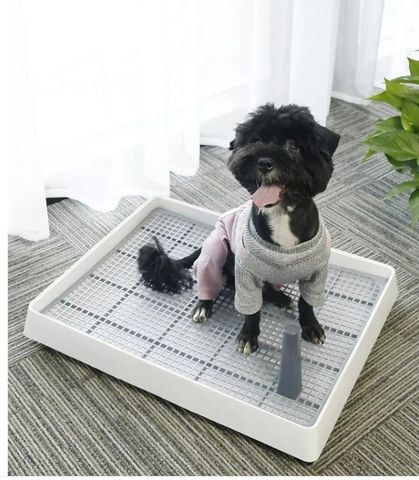 KHAY VỆ SINH YC CHO CHÓ - YC DOG TOILET (57x45)