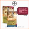 Bayer - Trị ký sinh trùng Advocate cho chó 10-25kg