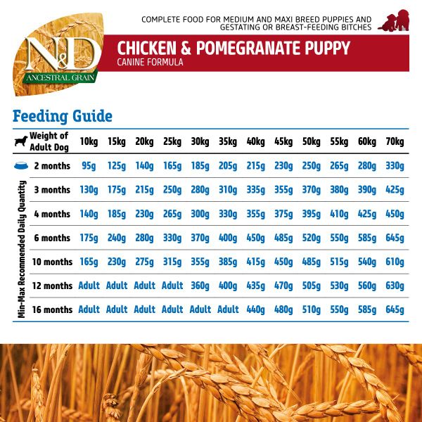 N&D Thức Ăn Chó Con - Starter Puppy Ancestral Chicken&Pomegranate 2.5kg