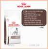 Thức Ăn Hạt Cho Chó - Royal Canin Hepatic - Hỗ Trợ Chức Năng Gan Cho Chó - 1.5kg