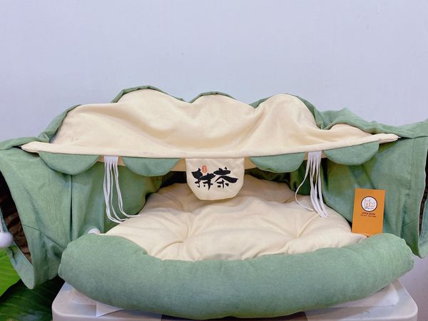 Đường Hầm Cho Mèo 0420