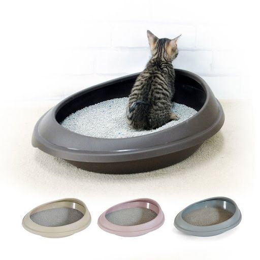 PURMI Khay Vệ Sinh Mèo Xám - Grey Cat Litter Box