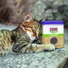 KONG Naturals Premium North American Catnip (28.3g/56.7g)