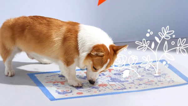 HONEYCARE SIZE L LUXURY PETPAD (60x90) 22pcs