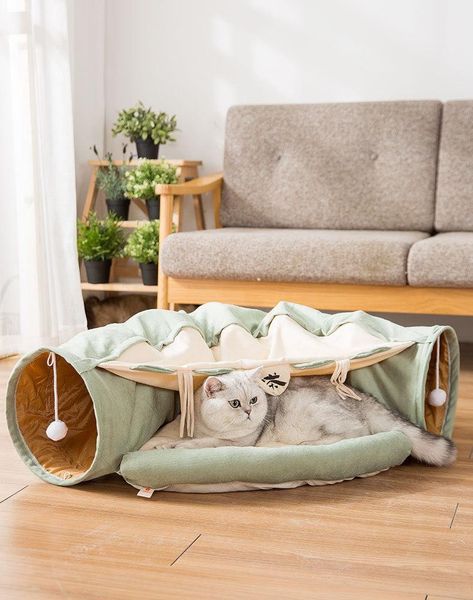 Đường Hầm Cho Mèo 0420