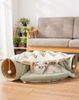 Đường Hầm Cho Mèo 0420
