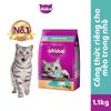 Thức ăn hạt khô Whiskas cho Mèo trưởng thành 1.2kg