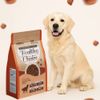 DoggyMan - Thức Ăn Hạt Healthy Choice Cho Chó Trưởng Thành Giống Vừa & Lớn – 400g/1,5kg