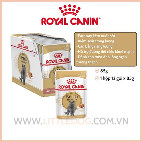 Pate Mèo anh lông ngắn Royal Canin British Shorthair in Gravy - 85g