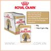 Pate Mèo anh lông ngắn Royal Canin British Shorthair in Gravy - 85g