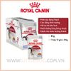 Pate Mèo trưởng thành Royal Canin Instinctive-85g