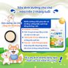 CattyMan – Sữa Dinh Dưỡng Cho Chó Mèo Trên 2 Tháng Tuổi (200ml)