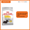 Thức Ăn Hạt Cho Chó - Royal Canin Mini Dermacomfort - 1kg