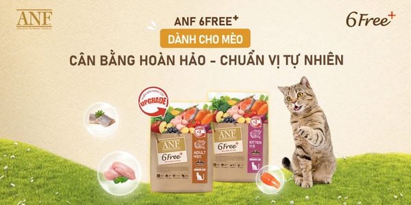 ANF - Thức ăn hạt khô cho Mèo (Mèo Con/Mèo Trưởng Thành)