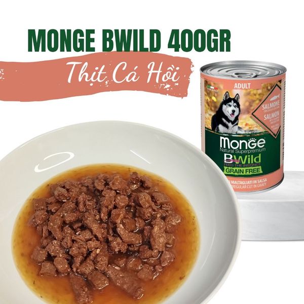 Pate Monge Bwild cho chó grainfree 400g