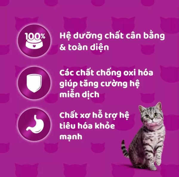 Pate Whiskas Tasty Mix In Gravy - Thịt Nấu Sốt Cho Mèo 70g