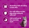 Pate Whiskas Tasty Mix In Gravy - Thịt Nấu Sốt Cho Mèo 70g