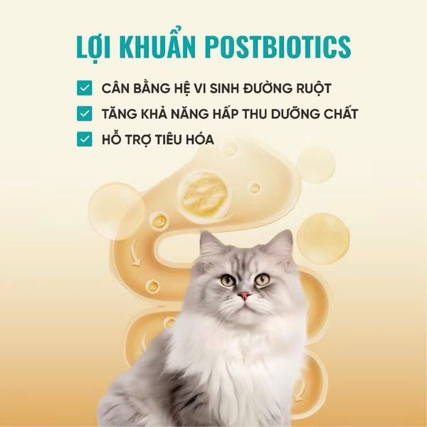 Thức Ăn Hạt Cho Mèo Bite Of Wild B45 - 1KG