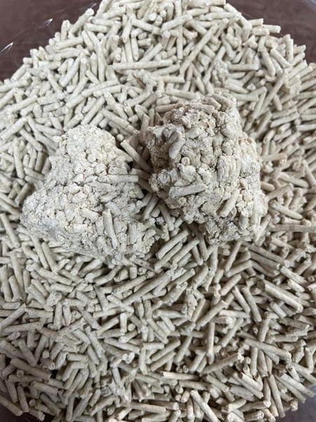 Cat Forest-Cát Hữu Cơ Làm Từ Vỏ Trấu Cho Mèo 2.5kg