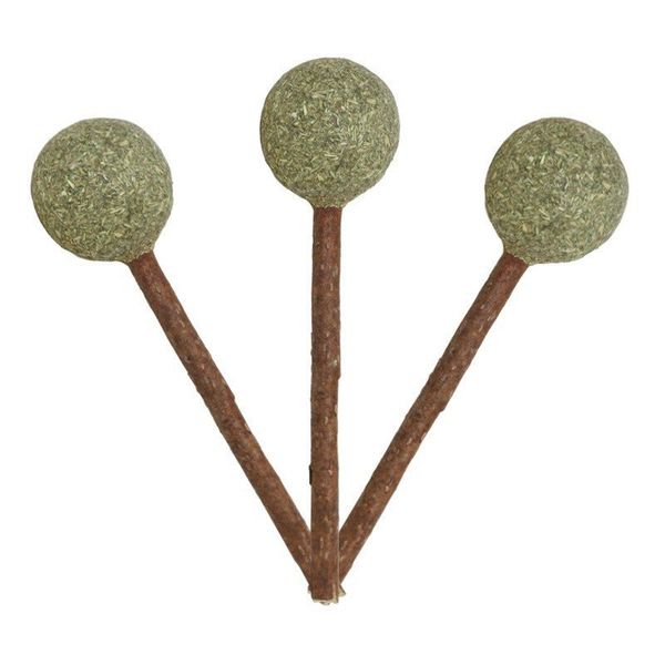 Yichon Catnip Que Gỗ