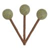 Yichon Catnip Que Gỗ