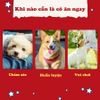 DoggyMan - Que Cuốn Thịt Gà – Gói 10 Cây
