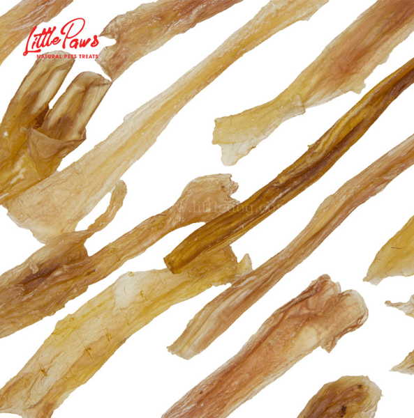 Little Paws - Gân Bò Sấy - S/M/L