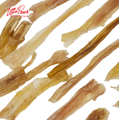 Little Paws - Gân Bò Sấy - S/M/L