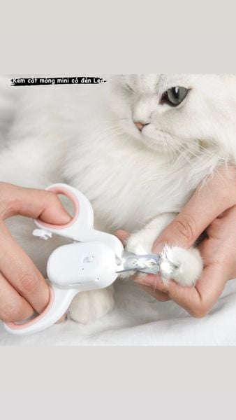 Kềm Cắt Móng Pakeway Lamp (Recharge) - Cat Scrissors With Lamp (Flat)