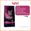Reflex Plus Mèo Trưởng thành Cá Hồi cao cấp - Adult Cat Food Choosy Salmon (1,5kg)