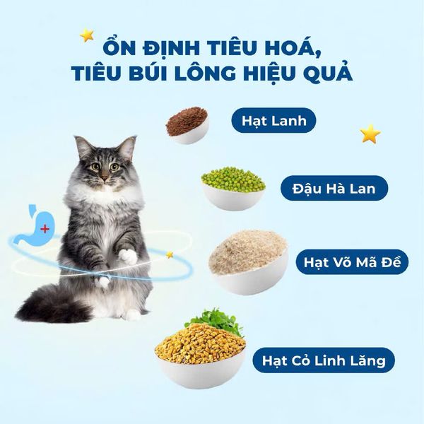 MR.VET T1 – Hạt Holistic Cho Mèo (1KG)