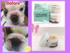 Doganic Spray 35ml - Thuốc Trị Viêm Da Doganic Dạng Xịt