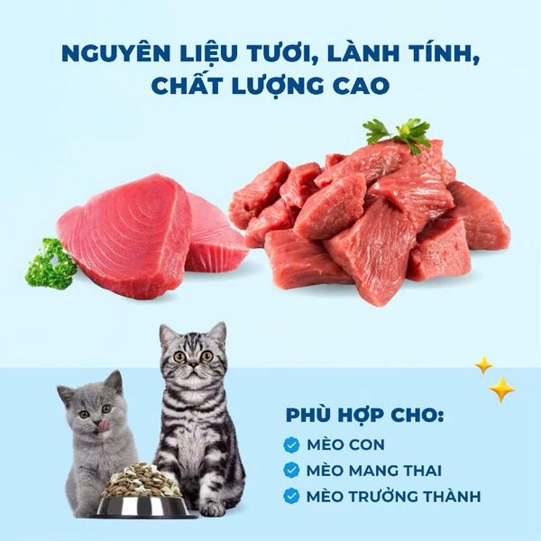 Mr. Vet T3 – Công thức Hỗ trợ Tiết Niệu (1kg)
