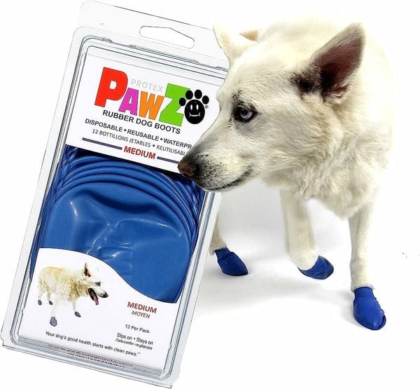 PawZ- Giày Bảo Vệ Chân Cho Thú Cưng Bằng Cao Su