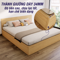 Giường Ngủ Gỗ FN01 FIVO, Đa Dạng Kích Thước & Màu Sắc, Freeship + Free lắp đặt