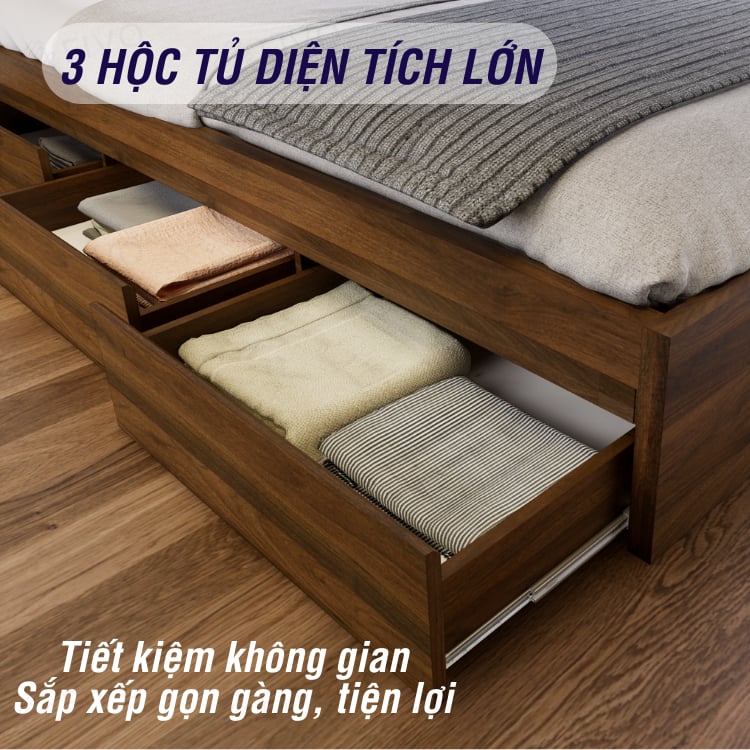 Giường Ngủ Gỗ MDF Chống Ẩm FN03 FIVO, Giường Đôi Cao Cấp Có 3 Ngăn Kéo Tiện Lợi, Nhiều Kích Thước, Free Lắp Đặt + Freeship TPHCM, Trả Góp 0%