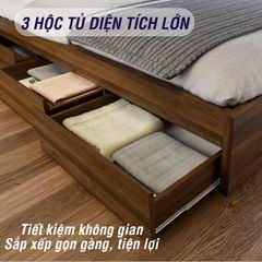 Giường Ngủ Gỗ MDF Chống Ẩm FN03 FIVO, Giường Đôi Cao Cấp Có 3 Ngăn Kéo Tiện Lợi, Nhiều Kích Thước, Free Lắp Đặt + Freeship TPHCM, Trả Góp 0%