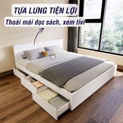 Giường Ngủ Gỗ MDF Chống Ẩm FN03 FIVO, Giường Đôi Cao Cấp Có 3 Ngăn Kéo Tiện Lợi, Nhiều Kích Thước, Free Lắp Đặt + Freeship TPHCM, Trả Góp 0%