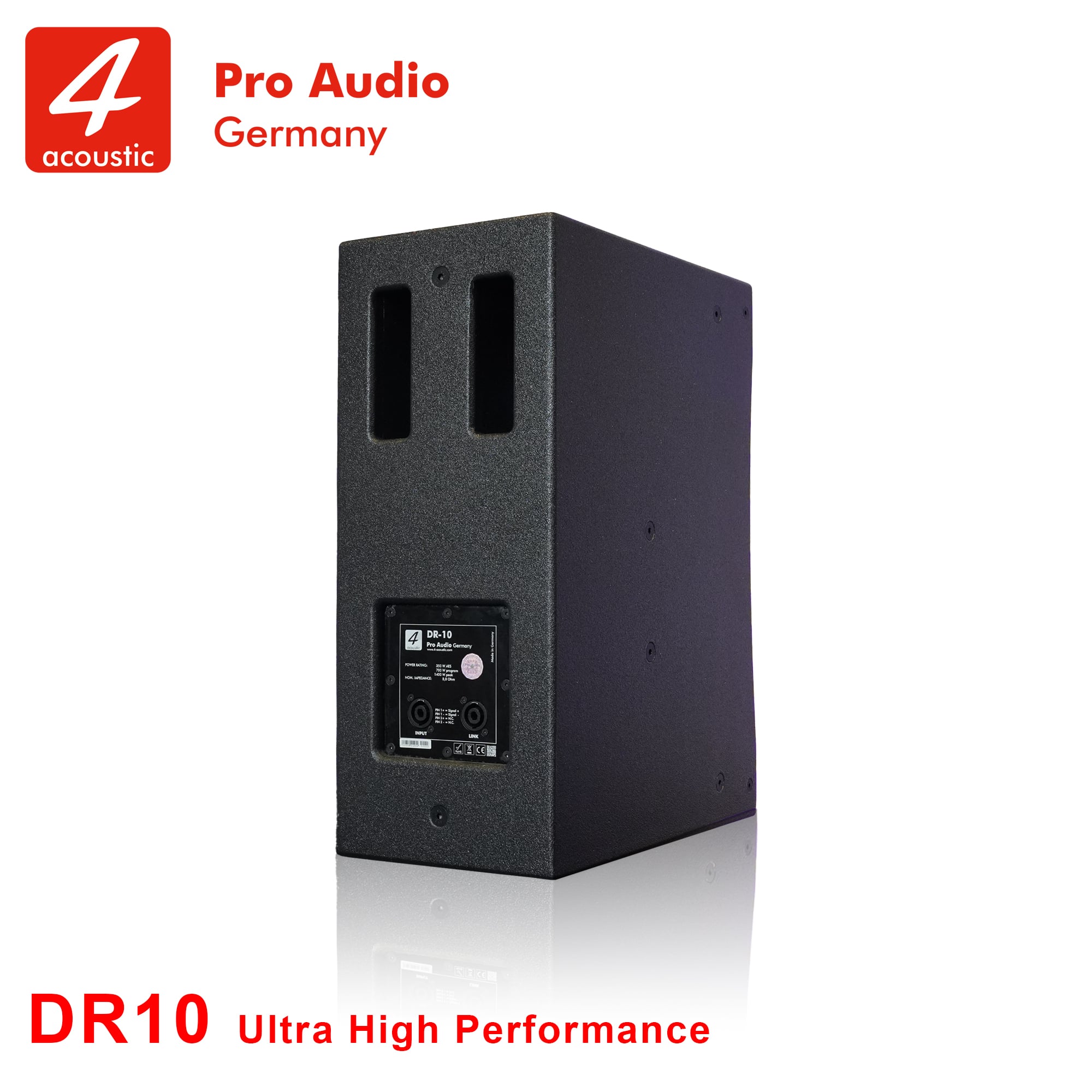 Loa Fullrange 4Acoustic DR10