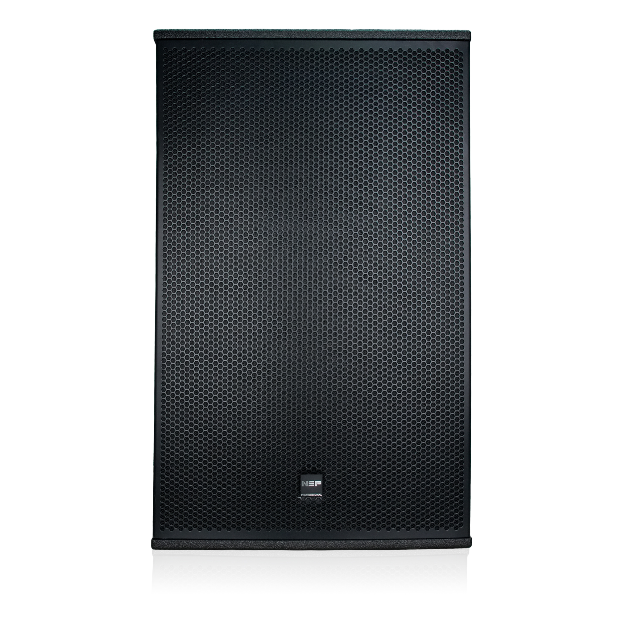Loa Fullrange NSP Audio HS15