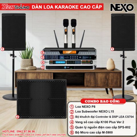 Dàn Loa Karaoke NEXO P8 [01]