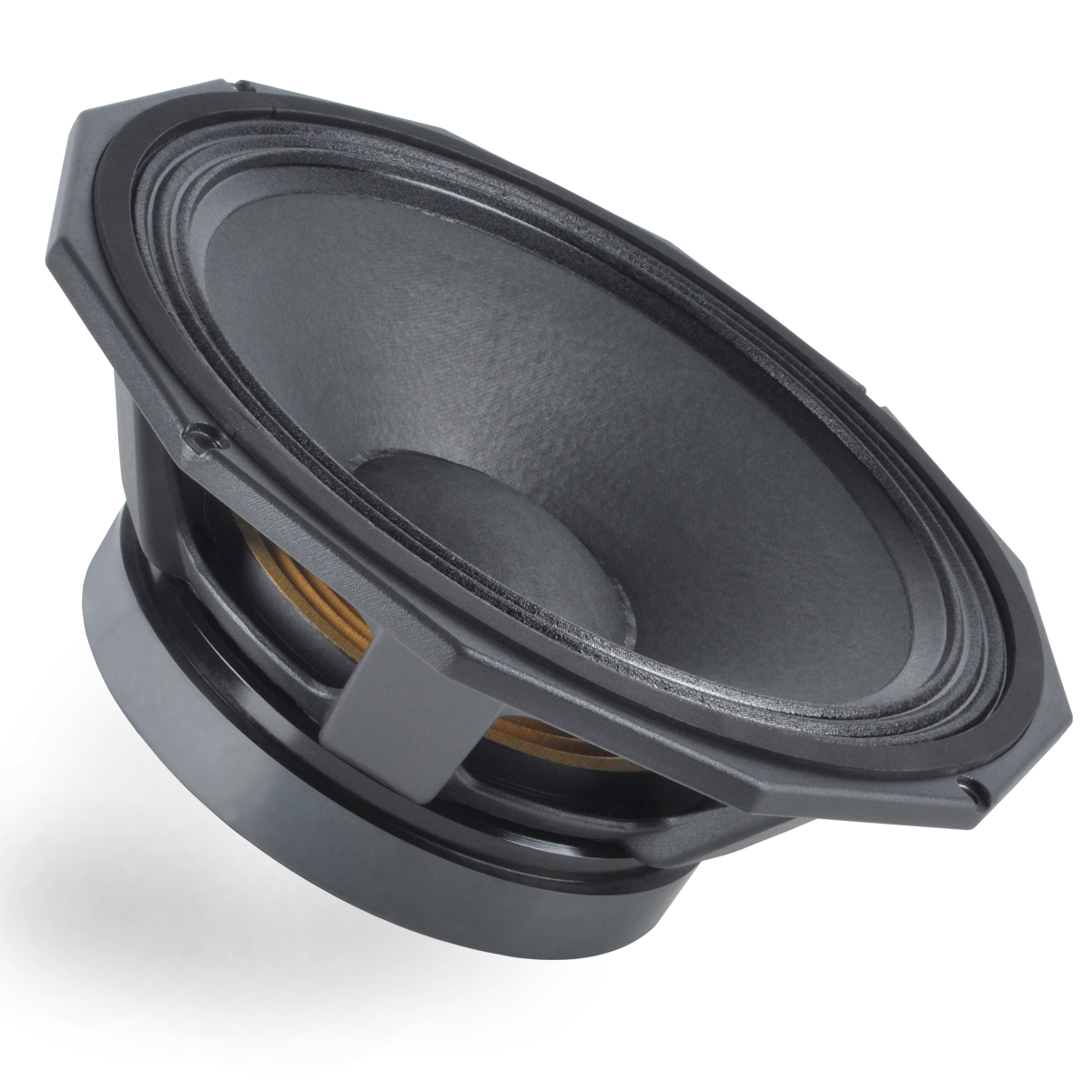 Loa 4Acoustic SC12