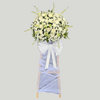 Vòng hoa viếng Cúc & Lan thái trắng Pure Remembrance