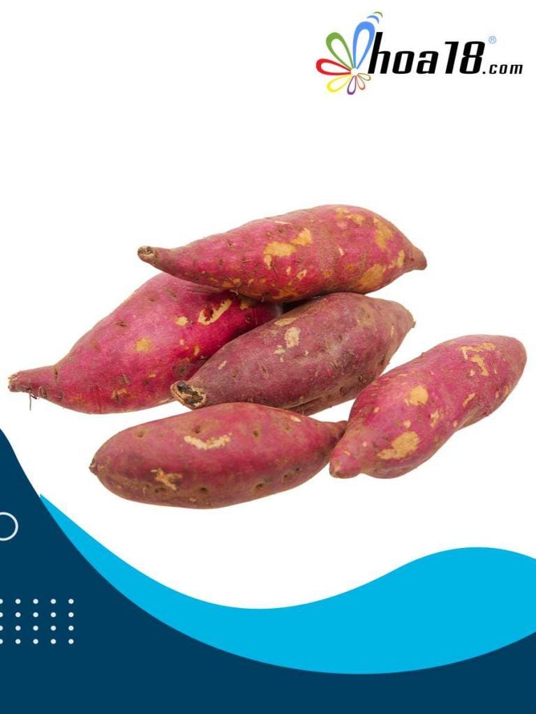  Khoai lang Nhật (1 kg) 