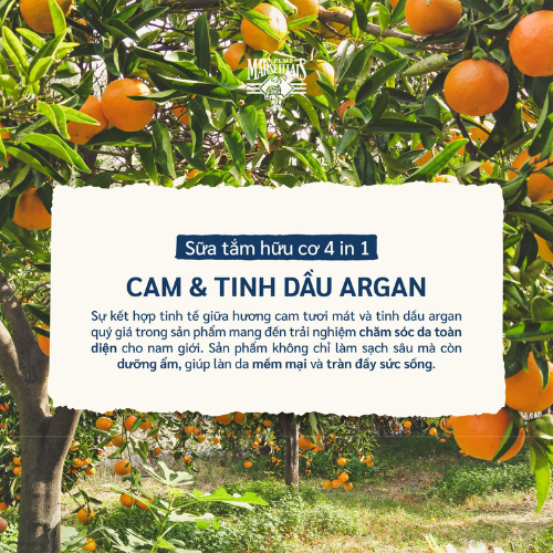  Sữa Tắm Gội Nam Le Petit Marseillais 4in1 Chiết Xuất Gỗ Cam & Argan 250ML 