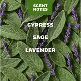  Lăn Khử Mùi Dr. Squatch Alpine Sage Aluminum Free Deodorant 75Gr 