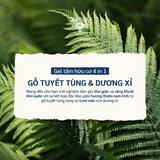  Sữa Tắm Gội Nam Le Petit Marseillais 4in1 Chiết Xuất Gỗ Tuyết Tùng & Dương Xỉ 250ML 