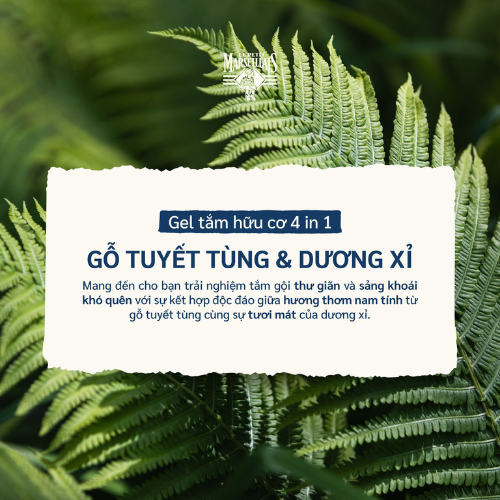  Sữa Tắm Gội Nam Le Petit Marseillais 4in1 Chiết Xuất Gỗ Tuyết Tùng & Dương Xỉ 250ML 