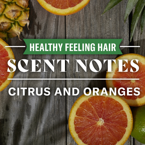  Dầu Gội Đầu Old Spice Healthy Scent Notes Citrus & Oranges 650ML 