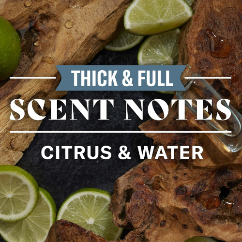  Dầu Gội Đầu Old Spice Thick & Full 2 in 1 with Deep Sea Minerals Scent 650ML 